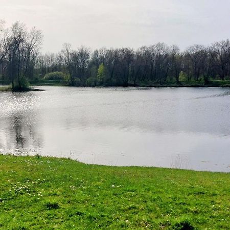Studio Sur Les Rives D'Allier Мулен Екстер'єр фото